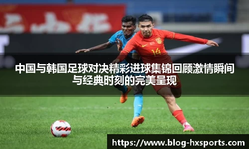 海星体育在线直播