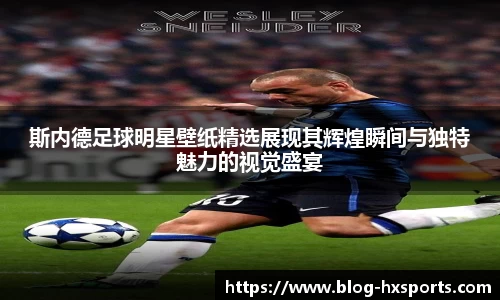 海星体育在线直播